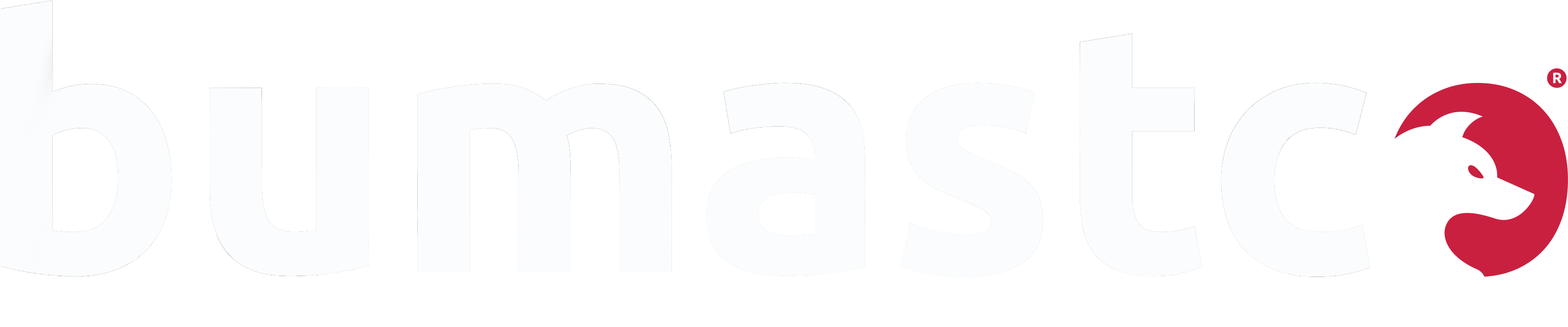 bumastco logo